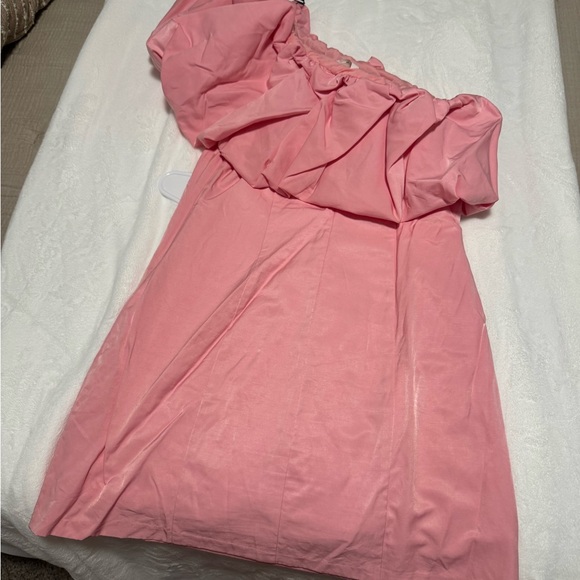Pink Ruched Dress - Picture 6 of 6